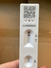 Does this test from July look positive?