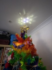 Do we have a show us your tree thread yet?