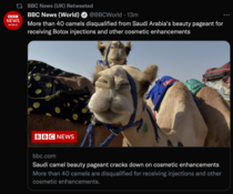 Omg my social media feeds are going crazy!