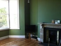 To paint all four walls of my small living room a very dark green?