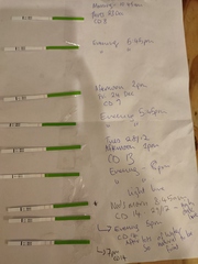 LH test - is this positive? Help!