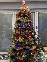 Do we have a show us your tree thread yet?