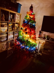 Do we have a show us your tree thread yet?
