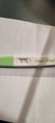 LH test - is this positive? Help!