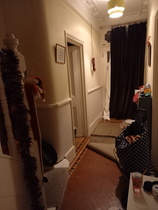 Advice on colours for dark narrow hall with dado rail and edwardian terracota tiles