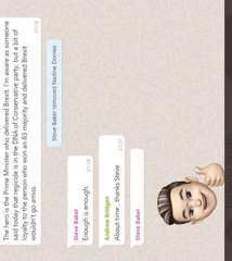 Tory MP WhatsApp group chat leaked