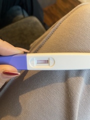 Pregnancy symptoms or pms help