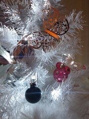 Do we have a show us your tree thread yet?