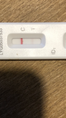 Multiple positive LFTs but negative PCR?