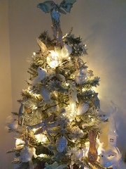 Do we have a show us your tree thread yet?