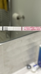 Vvvfl at 8 dpo