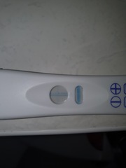 Tesco Blue dye pregnancy test