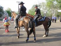 Horse riders should pick up their poo!!