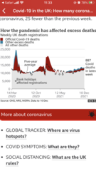 Will omicron end the pandemic more quickly?
