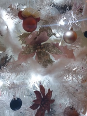 Do we have a show us your tree thread yet?