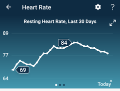 Did anyone wear their fitbit throughout their pregnancy?