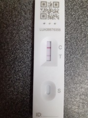 Covid hand-holding thread