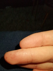 Any ideas what this could be?