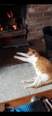 Can we please see pictures of your fireplaces and log burners ?