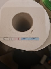 Am I miscarrying??? Help please