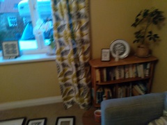 Ex council house .. modernist cool.?