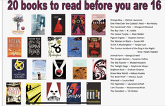 Book for reading-averse 13 year old