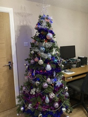 Do we have a show us your tree thread yet?