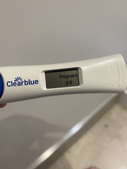 Due September 2022