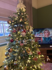 Do we have a show us your tree thread yet?