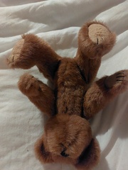 Does anybody recognise this bear?