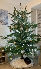Disappointed with Christmas tree