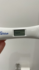 Vvvfl at 8 dpo