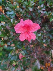 Show Us Your Pictures: 5 Alive