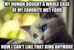 My cat is an arsehole