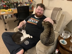 Xmas and your cats
