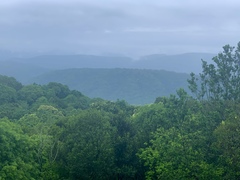 Les Parisiennes des Mamansnet: Do not ask the kock about les préservatifs in the food.