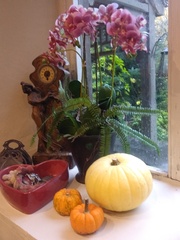 What do you have on your shelves/ mantelpieces/ windowsills?