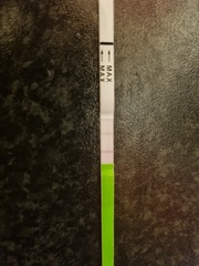 Ovulation test