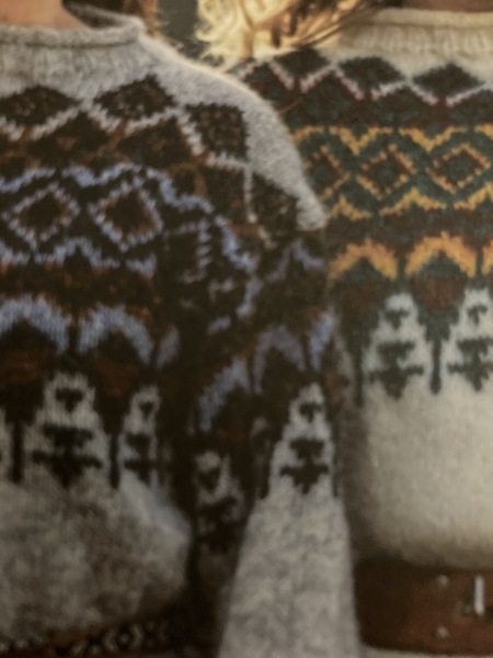 Adding sleeves by steeking