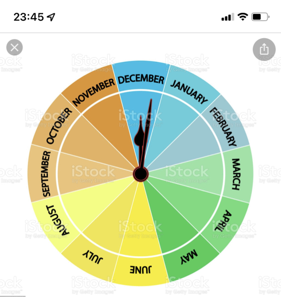 To ask how you view the months of the year in your head?