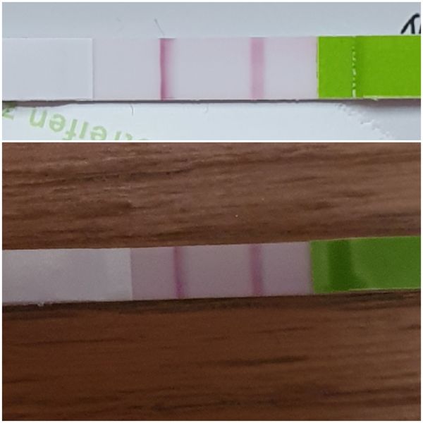 Ttc after miscarriage thread 2 ✨🌈🤞