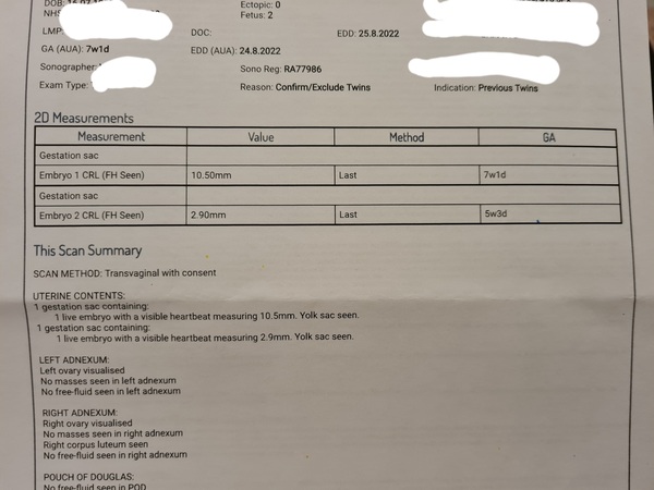 Crippled with anxiety that it might be twins again *TRIGGER WARNING*