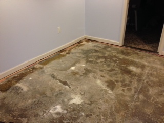 What should I expect to find under the carpet?