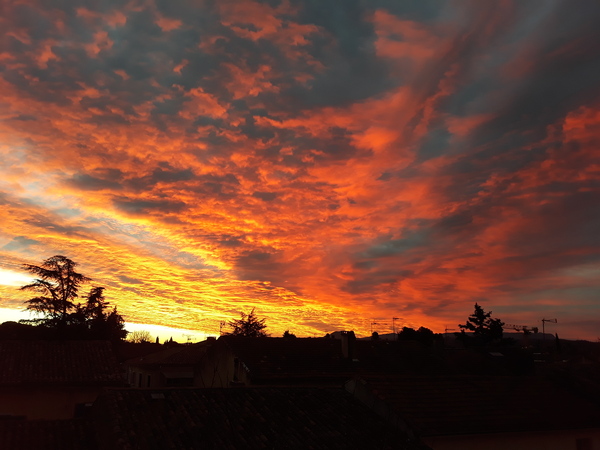 Brexit mega thread part 5 : new year  new PM? Partygate continues...