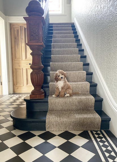 Hate new stair carpet