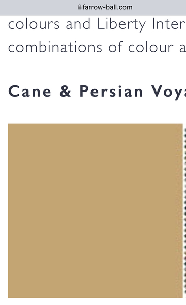 What do you think of this carpet / paint combi?