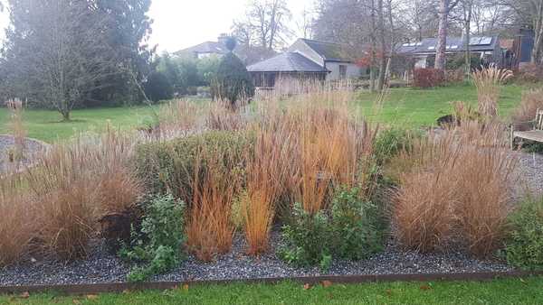 Metal border edging - sharp/safe? Or how about wood?