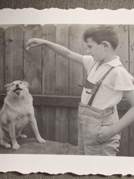 I miss old fashioned mongrels.