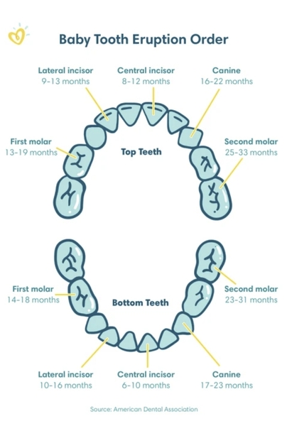 First dentist appointment