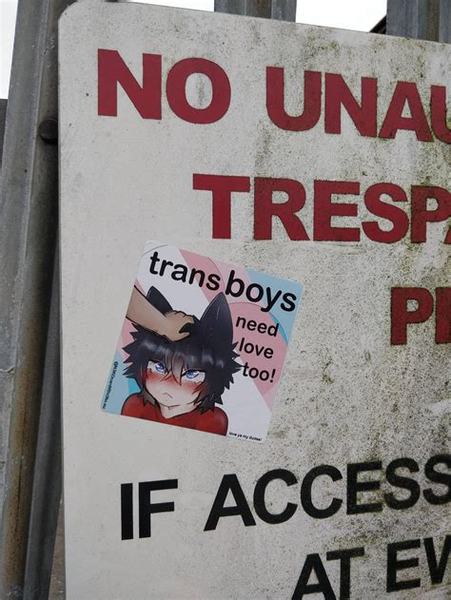 Jennifer Swayne arrested for stickering.